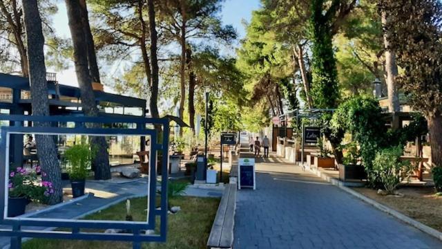 Zsa Zsa Holiday Home Srima Dış mekan fotoğraf
