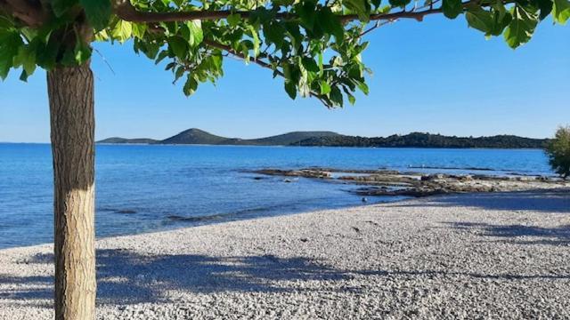 Zsa Zsa Holiday Home Srima Dış mekan fotoğraf